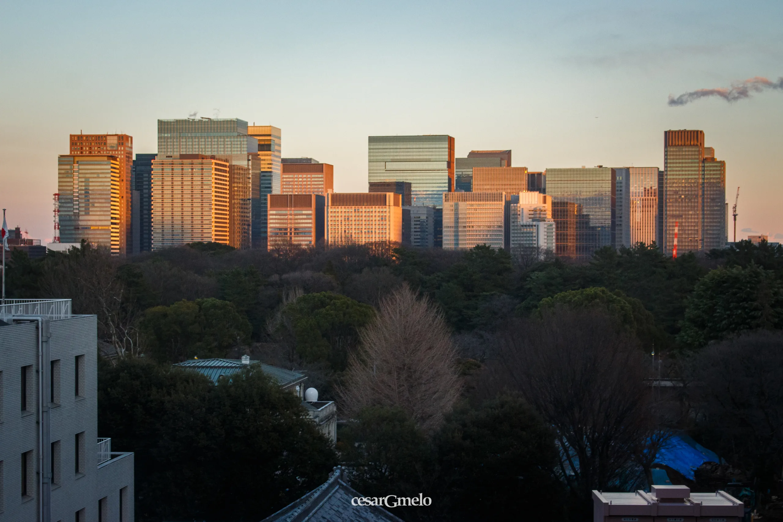 Tokyo Skyline - Imperial Palace East Garden