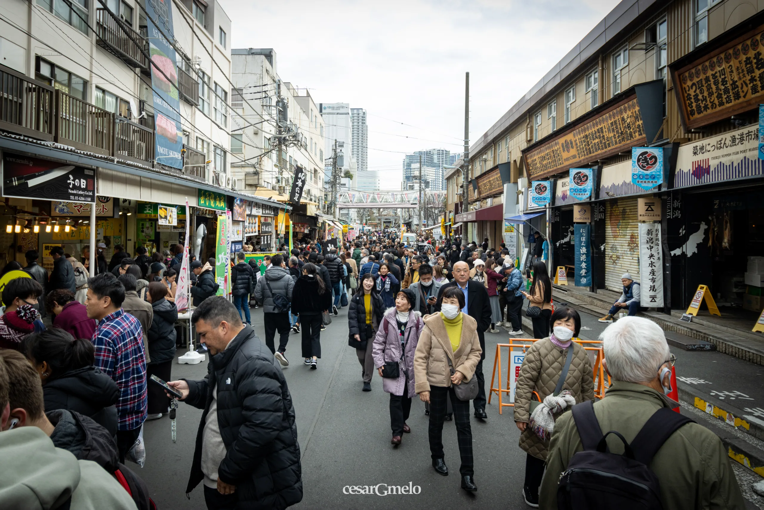 Tsukiji Fish Market