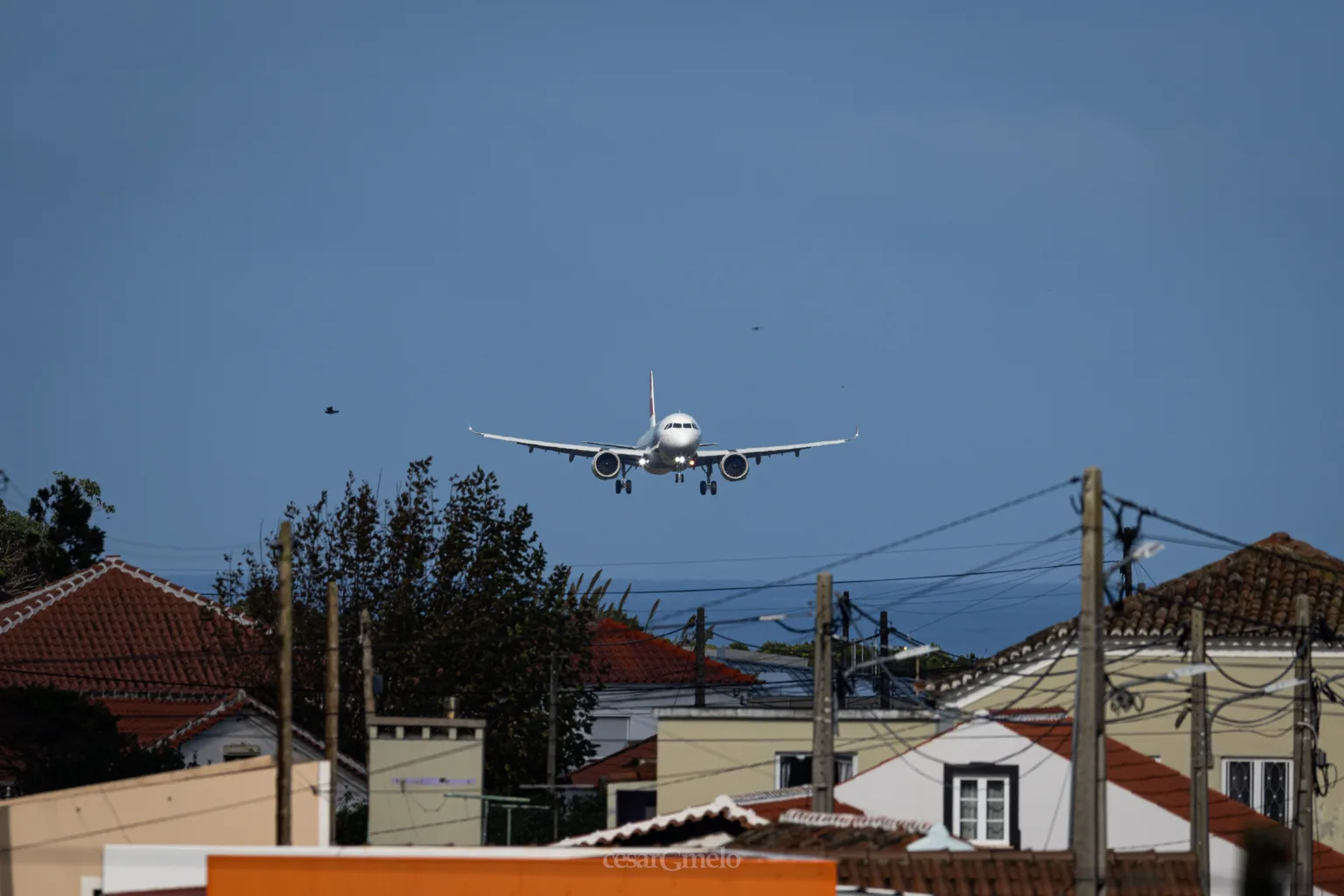 Airbus A321-251N // TAP Air Portugal // CS-TJJ // LPLA // 09.01.2024