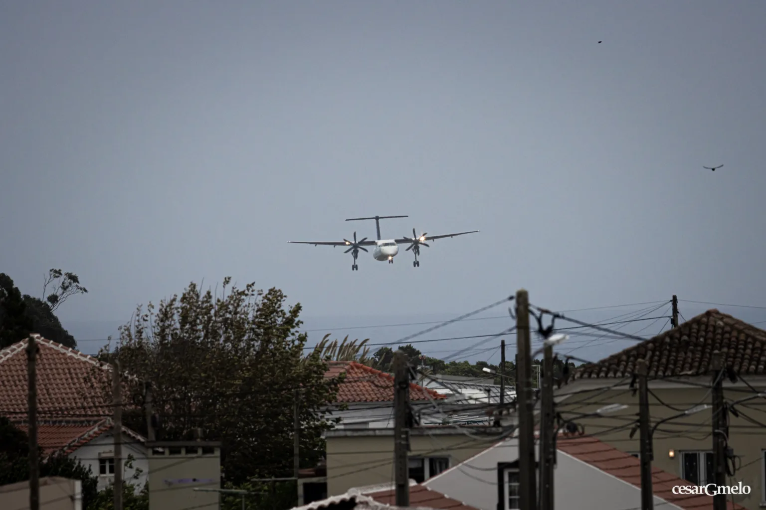 DeHavilland Canada Dash 8-400 // SATA Air Açores // CS-TRE // LPLA // 05.11.2024